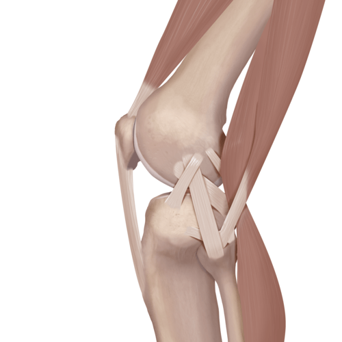 Lateral Collateral Ligament Tear knee tear