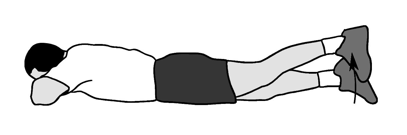 Straight-Leg Raises Prone